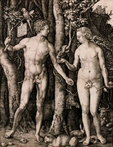 Adam and Eve 作者 阿尔布雷希特丢勒