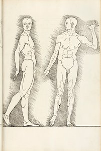来自Hierinn的解剖木刻是人类比例的四本书，1528年 作者 阿尔布雷希特丢勒