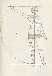来自“Hierinn 是人类比例的四本书”的女性解剖木刻 作者 阿尔布雷希特丢勒