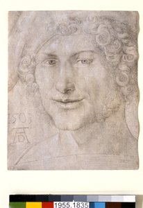 1503年，一个年轻人的头 作者 阿尔布雷希特丢勒