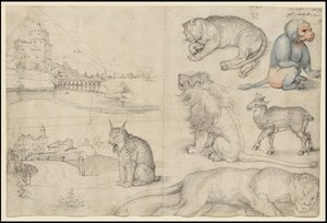 动物与风景草图，1521年 作者 阿尔布雷希特丢勒