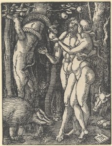 人类的堕落，选自《小受难》，约 1510 年（木刻版画） 作者 阿尔布雷希特丢勒