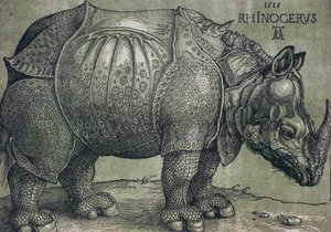 犀牛，1515年 作者 阿尔布雷希特丢勒