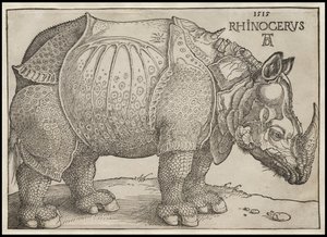 犀牛，1515年 作者 阿尔布雷希特丢勒