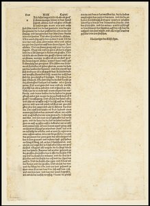 启示录的版本，圣迈克尔与龙搏斗，1497年 作者 阿尔布雷希特丢勒