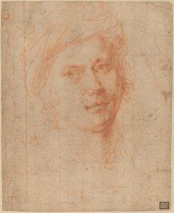 一个青年的负责人 作者 亚历山德罗·阿洛里（Alessandro Allori）