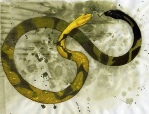 神话般的生物：Amphisbene 的代表，有两个头的蛇。 亚历山德罗·洛纳蒂绘画 作者 亚历山德罗·洛纳蒂