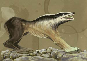 神奇的怪物和生物，神秘动物学：来自印度或埃塞俄比亚的 crocotte（或 leucrotta、corocotta、crocuta、yena）神话狼狗的代表（crocotta（或 corocotta、crocuta、leucrocotta 或 Yana）是印度神话中的狗狼 或埃蒂