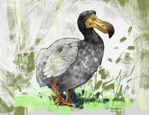 已灭绝的渡渡鸟的形象（插图） 作者 亚历山德罗·洛纳蒂