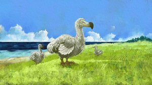 已灭绝的渡渡鸟的形象（插图） 作者 亚历山德罗·洛纳蒂