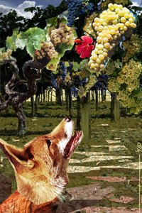狐狸和葡萄 希腊作家埃索普（Esope，公元前 7-6 世纪）的寓言插图。插图作者：Alesandro Lonati。2010 作者 亚历山德罗·洛纳蒂
