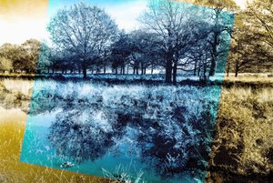 Blue Note,2019,(photography) 作者 亚历克斯·卡明克