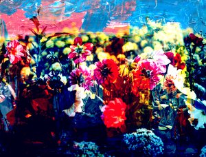 Field,2019,(collage) 作者 亚历克斯·卡明克