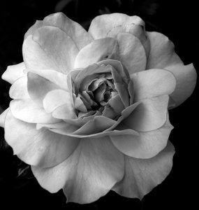Object,2019,(photography)