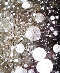 Snow,2019,(mixed media) 作者 亚历克斯·卡明克