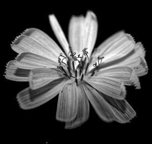 Untitled,2019,(photography) 作者 亚历克斯·卡明克