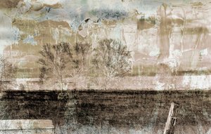 brown fog,2019,(mixed media) 作者 亚历克斯·卡明克