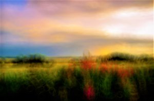 palette,2019,(photography) 作者 亚历克斯·卡明克
