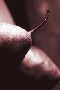 pears,2019,(photography) 作者 亚历克斯·卡明克