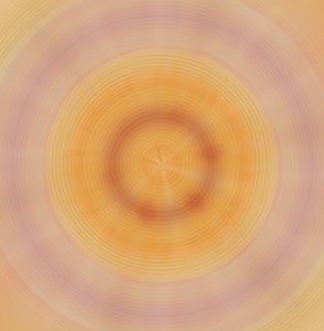 盘子,2019,(混合媒体) 作者 亚历克斯·卡明克