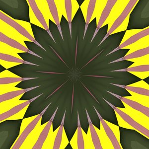 sunflower,2019,(digital) 作者 亚历克斯·卡明克