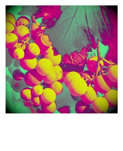 untitled,2019,(photography) 作者 亚历克斯·卡明克