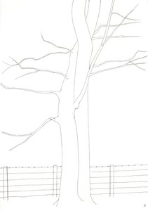 混血儿 作者 亚历克斯·邓恩