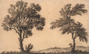 研究两个柳树 作者 亚历山大·科曾斯