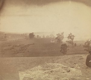 [安提塔姆战场]，1862年。 作者 亚历山大·加德纳