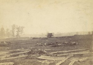 1862年9月，安提塔姆战场上的景色，1862年。 作者 亚历山大·加德纳
