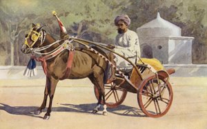 A Benares Ekka 作者 亚历山大·亨利·哈勒姆·默里