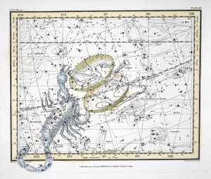 星座（Plate XIX）天秤座和天蝎座，来自亚历山大·贾米森（Alexander Jamieson）的“天体地图集”（A Celestial Atlas）。伦敦1822年（手工彩色雕刻）