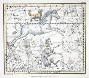 The Constellations (Plate XXV) Canis Major、Canis Minor、Monoceros、Argo Navis、l