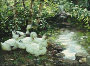 五只鸭子在河上，石质海岸；巴赫（Fach Enten am Bach），斯坦尼格斯·乌费尔（Steiniges Ufer）