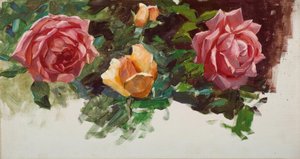 科斯特（A.Koester），《玫瑰研究》