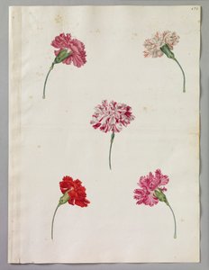 亚历山大-马歇尔（RCIN 924390） 作者 亚历山大·元帅