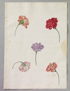 亚历山大-马歇尔（RCIN 924391） 作者 亚历山大·元帅
