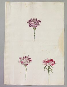 亚历山大-马歇尔（RCIN 924393） 作者 亚历山大·元帅