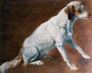法国史宾格犬的祖先，由法国的亚历山大-弗朗索瓦-德斯波尔（1661-1743）创作。 作者 亚历山大·弗朗索瓦·德斯波特