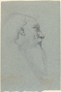 大胡子男人的头，向右看