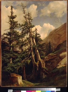 Calame, Alexandre (1810-1864) 的山中冷杉。 布面油画，尺寸：68,5x53。 国家 A. 普希金美术博物馆，莫斯科 作者 亚历山大卡拉梅