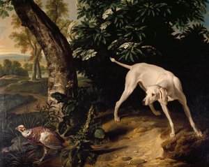 狩猎场景，Alexandre-Francois Desportes（1661-1743）的绘画细节，法国 作者 亚历山大·弗朗索瓦·德斯波特