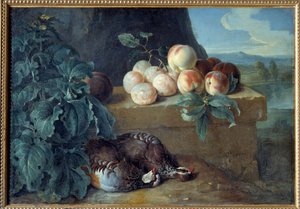 桃子和鹧鸪。 弗朗索瓦·德斯波特斯 (Francois Desportes) 的绘画 (1661-1743) 作者 亚历山大·弗朗索瓦·德斯波特