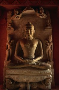 Tirthankara雕像，印度北方邦Deogarh第24号耆那教庙宇，8-17世纪。