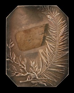 月桂树和常青树交织的枝条[背面]，1897年。
