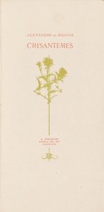 菊花