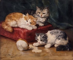 猫