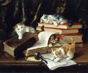 小猫在桌子上玩