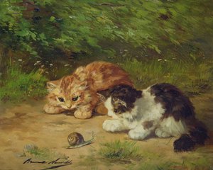 小猫和蜗牛