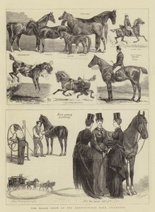 在伊斯灵顿农业大厅的马展 作者 Alfred Chantrey Corbould